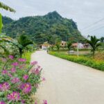 Thumbnail of http://mua-ban-nha-dat-thanh-pho-vinh-nghe-an